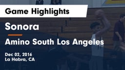 Sonora  vs Amino South Los Angeles Game Highlights - Dec 02, 2016