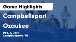 Campbellsport  vs Ozaukee  Game Highlights - Dec. 4, 2018