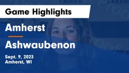 Amherst  vs Ashwaubenon  Game Highlights - Sept. 9, 2023
