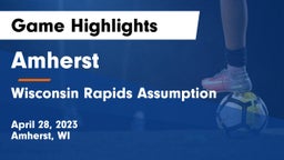 Amherst  vs Wisconsin Rapids Assumption Game Highlights - April 28, 2023