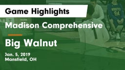 Madison Comprehensive  vs Big Walnut Game Highlights - Jan. 5, 2019