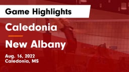 Caledonia  vs New Albany  Game Highlights - Aug. 16, 2022