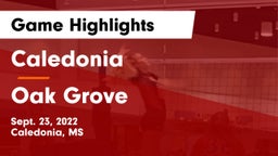 Caledonia  vs Oak Grove Game Highlights - Sept. 23, 2022