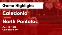 Caledonia  vs North Pontotoc Game Highlights - Oct. 11, 2022