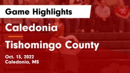 Caledonia  vs Tishomingo County  Game Highlights - Oct. 13, 2022