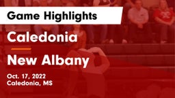 Caledonia  vs New Albany  Game Highlights - Oct. 17, 2022