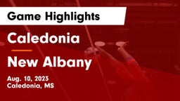 Caledonia  vs New Albany  Game Highlights - Aug. 10, 2023