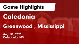Caledonia  vs Greenwood , Mississippi Game Highlights - Aug. 31, 2023