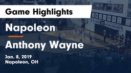 Napoleon vs Anthony Wayne Game Highlights - Jan. 8, 2019