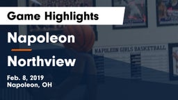 Napoleon vs Northview  Game Highlights - Feb. 8, 2019