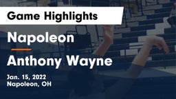 Napoleon vs Anthony Wayne  Game Highlights - Jan. 15, 2022