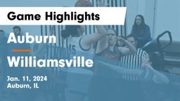 Auburn  vs Williamsville  Game Highlights - Jan. 11, 2024