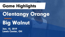 Olentangy Orange  vs Big Walnut Game Highlights - Jan. 15, 2019