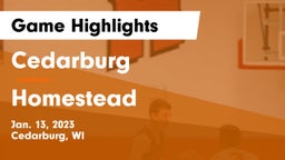 Cedarburg  vs Homestead  Game Highlights - Jan. 13, 2023