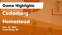 Cedarburg  vs Homestead  Game Highlights - Feb. 23, 2023