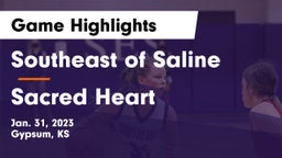 Southeast of Saline  vs Sacred Heart  Game Highlights - Jan. 31, 2023