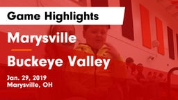 Marysville  vs Buckeye Valley  Game Highlights - Jan. 29, 2019