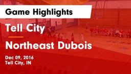 Tell City  vs Northeast Dubois  Game Highlights - Dec 09, 2016