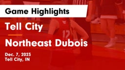 Tell City  vs Northeast Dubois  Game Highlights - Dec. 7, 2023