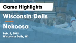Wisconsin Dells  vs Nekoosa  Game Highlights - Feb. 8, 2019