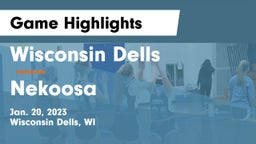 Wisconsin Dells  vs Nekoosa  Game Highlights - Jan. 20, 2023