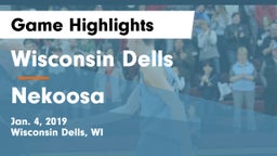 Wisconsin Dells  vs Nekoosa  Game Highlights - Jan. 4, 2019