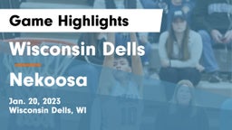 Wisconsin Dells  vs Nekoosa  Game Highlights - Jan. 20, 2023