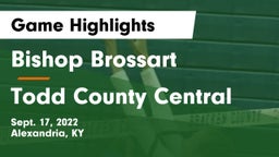 Bishop Brossart  vs Todd County Central  Game Highlights - Sept. 17, 2022