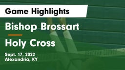 Bishop Brossart  vs Holy Cross  Game Highlights - Sept. 17, 2022