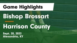 Bishop Brossart  vs Harrison County  Game Highlights - Sept. 20, 2022