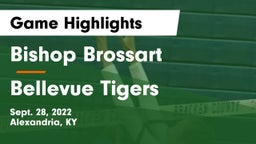 Bishop Brossart  vs Bellevue Tigers Game Highlights - Sept. 28, 2022