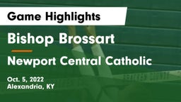 Bishop Brossart  vs Newport Central Catholic  Game Highlights - Oct. 5, 2022
