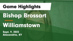 Bishop Brossart  vs Williamstown Game Highlights - Sept. 9, 2023