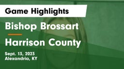 Bishop Brossart  vs Harrison County  Game Highlights - Sept. 13, 2023