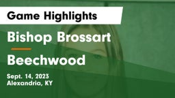 Bishop Brossart  vs Beechwood  Game Highlights - Sept. 14, 2023