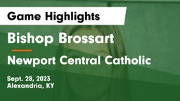 Bishop Brossart  vs Newport Central Catholic  Game Highlights - Sept. 28, 2023