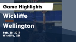 Wickliffe  vs Wellington  Game Highlights - Feb. 20, 2019