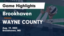 Brookhaven  vs WAYNE COUNTY Game Highlights - Aug. 19, 2023
