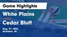 White Plains  vs Cedar Bluff  Game Highlights - Aug. 27, 2022