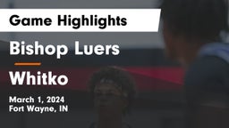Bishop Luers  vs Whitko  Game Highlights - March 1, 2024