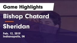 Bishop Chatard  vs Sheridan  Game Highlights - Feb. 12, 2019