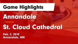 Annandale  vs St. Cloud Cathedral  Game Highlights - Feb. 3, 2018