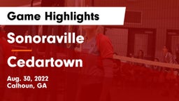 Sonoraville  vs Cedartown Game Highlights - Aug. 30, 2022