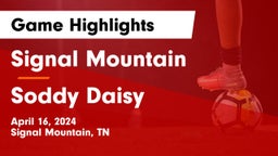 Signal Mountain  vs Soddy Daisy  Game Highlights - April 16, 2024