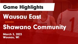 Wausau East  vs Shawano Community  Game Highlights - March 3, 2023