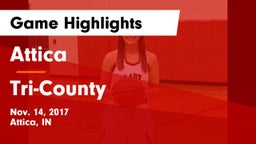 Attica  vs Tri-County  Game Highlights - Nov. 14, 2017