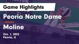 Peoria Notre Dame  vs Moline  Game Highlights - Oct. 1, 2022