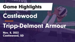 Castlewood  vs Tripp-Delmont Armour Game Highlights - Nov. 8, 2022