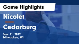 Nicolet  vs Cedarburg  Game Highlights - Jan. 11, 2019