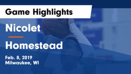Nicolet  vs Homestead  Game Highlights - Feb. 8, 2019